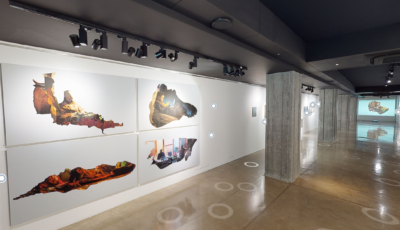 Gallery Ark 3D Model