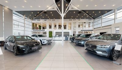 Cars Crave Вешки 3D Model