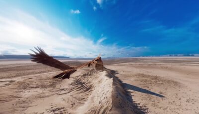 Fly over Kazakhstan 3D Model